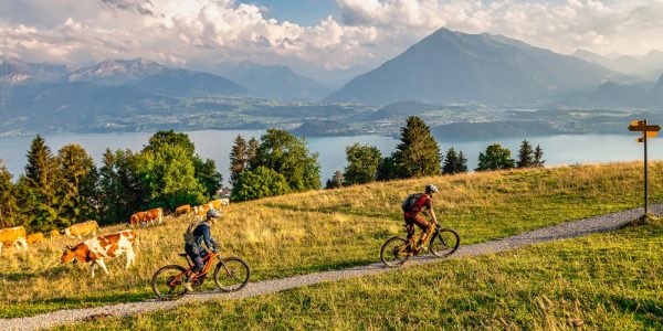 Mountainbike-Touren-Thun-MTB-Thunersee-Bern-mit-Bike-Guide